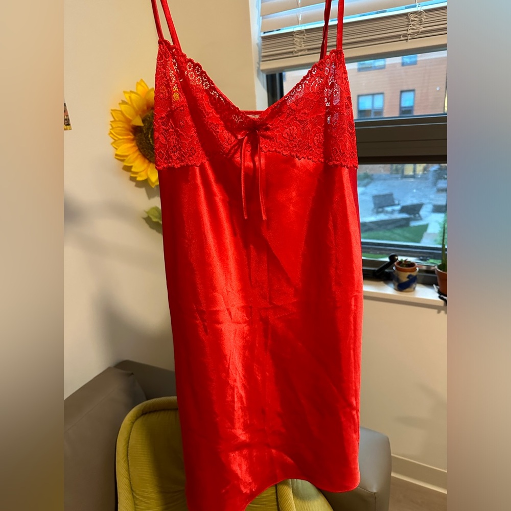 Morgan Taylor Scarlet Lace Slip Dress